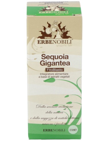 Sequoia - Secuoya Yema Macerado Glicerinado 50Ml