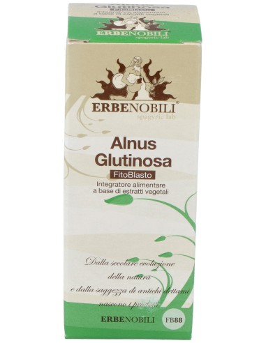 Alnus Glutinosa Aliso Común Negro Yema Mg 50Ml