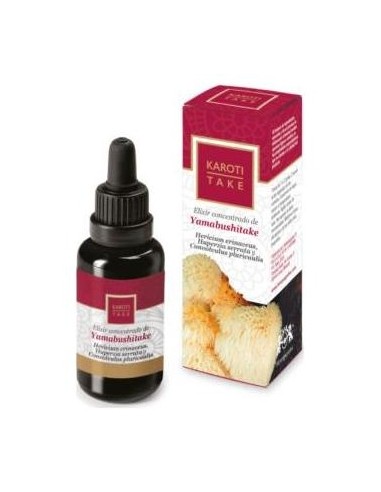 Hiranyagarba Karoti-Take Yamabushitake 30Ml