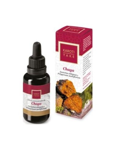 Karoti-Take Chaga 30Ml.