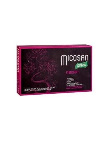 Micosan Fibroart 40Cap.
