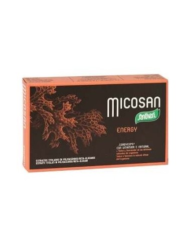 Micosan Energy 40Cap.