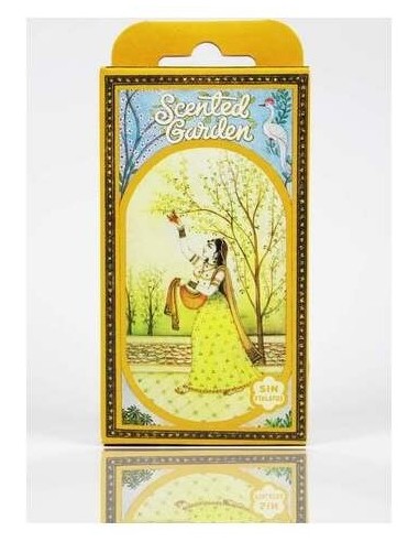 Radhe Shyam Eucalipto Cono Incienso Scented Garden 12Uds