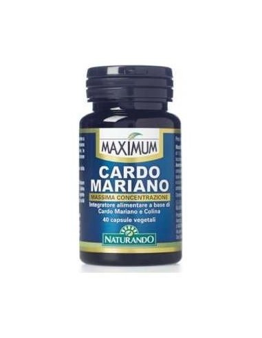 Maximum Cardo Mariano 40Cap.