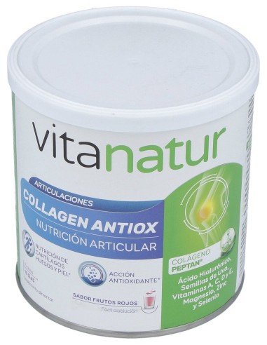 Vitanatur Collagen Antiox 180 Gramos