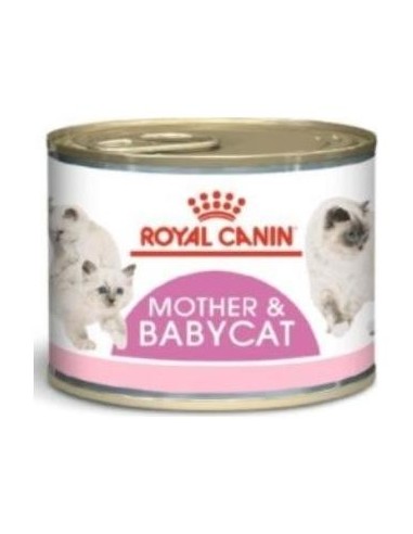 Royal Feline Mother Babycat Caja 12X195Gr.