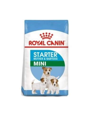 Royal Canine Starter Mini 1Kg.
