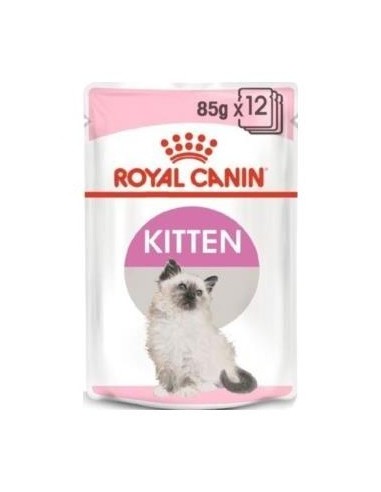 Royal Feline Kitten Gelatina 12X85Gr.