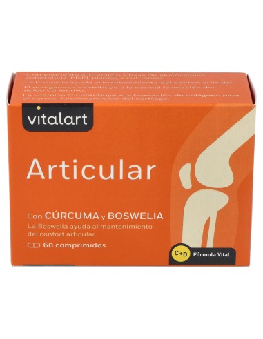 Vitalart Articular 60Comp.