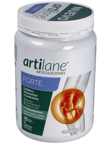 Artilane Forte Polvo 220 G Opko