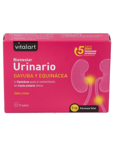 Vitalart Vitalart Bienestar Urinario 10 Sobres