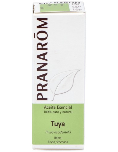 Thuya Occidentalis Aceite Esencial 10Ml.