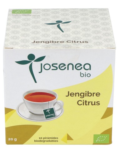 Jengibre-Citrus 10Piramides Ensobradas Bio