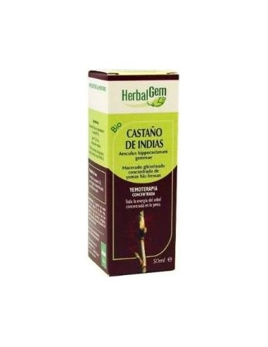 Castaño De Indias Macerado Glicerinado 50Ml.