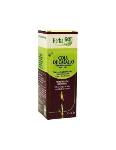 Cola De Caballo Macerado Glicerinado 50Ml.