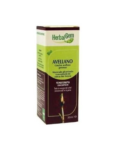 Avellano Macerado Glicerinado 50Ml.