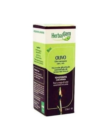 Olivo Macerado Glicerinado 50Ml.