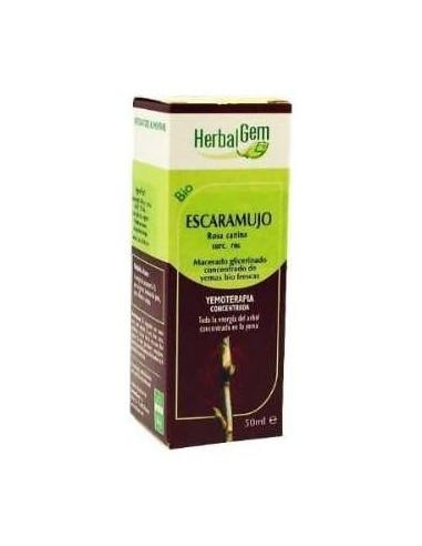 Escaramujo (Rosal Silv) Macerado Glicerinado 50Ml.