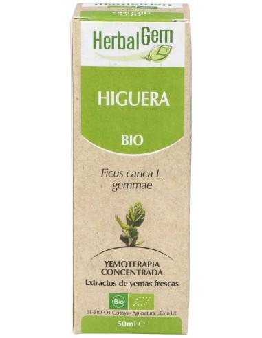 Higuera Macerado Glicerinado 50Ml.