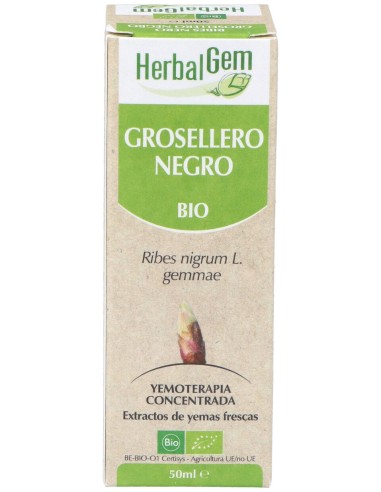 Grosellero Negro Macerado Glicerinado 50Ml.