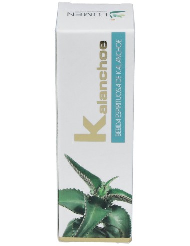 Kalanchoe 30Ml.