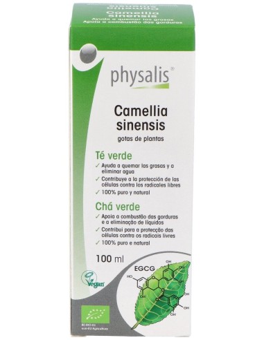 Physalis Te Verde Extracto Hidroalcoholico Bio 100Ml