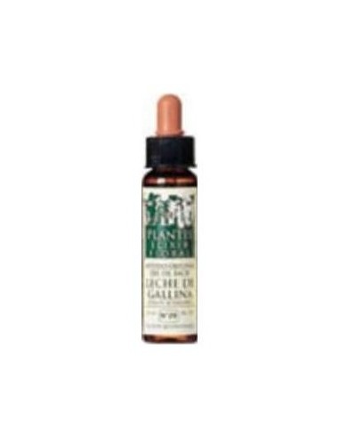 Sweet Chestnut Plantis Flores De Bach Nº 30 10Ml.