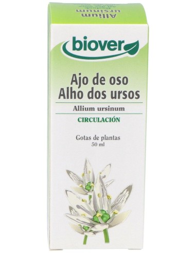 Ext. Allium Ursinum (Ajo Silvestre) 50Ml.