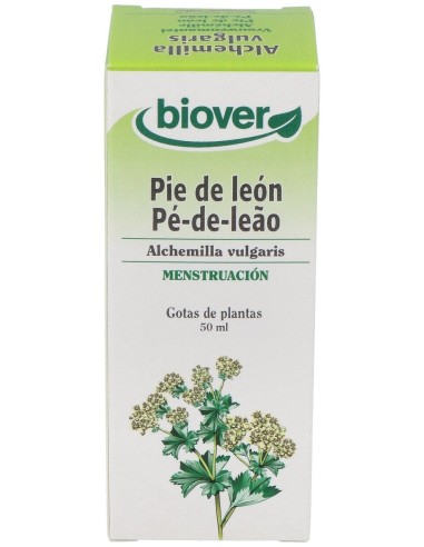 Ext. Alchemilla Vulgaris (Alchemilla) 50Ml.