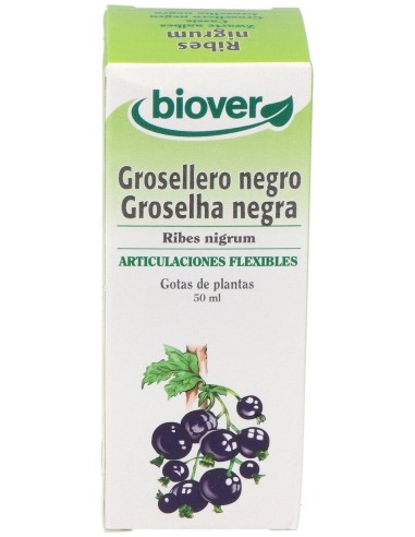 Ext. Ribes Nigrum (Grosellero Negro) 50Ml.