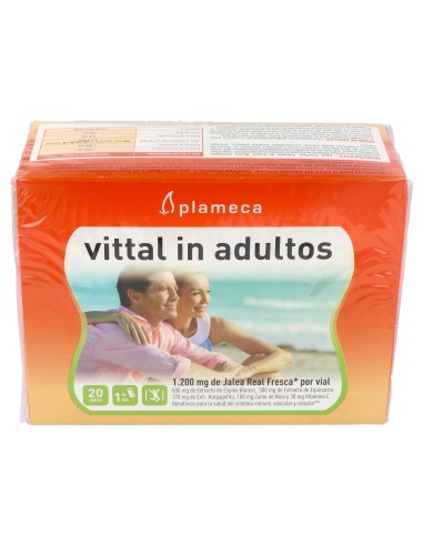 Vital In Adultos Jalea Real 20Amp