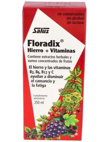 Floradix Hierro 250Ml