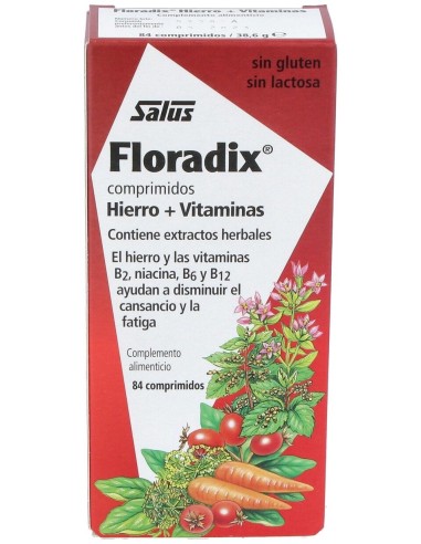 Floradix Hierro 84Comp