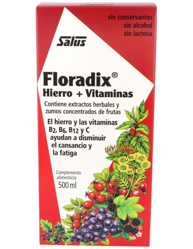 Floradix Hierro 500Ml