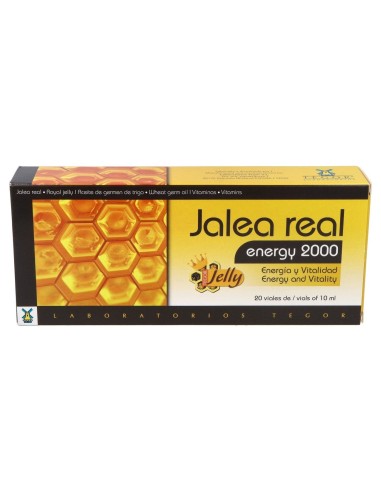 Tegor Energy 2000 Jalea Real 20Amp