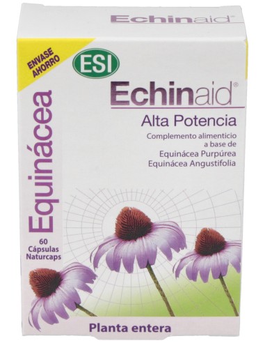 Echinaid Alta Potenza 60Cps