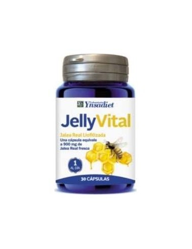 Ynsadiet Jelly Vital 300Mg Jalea Liofilizada 30Cáps