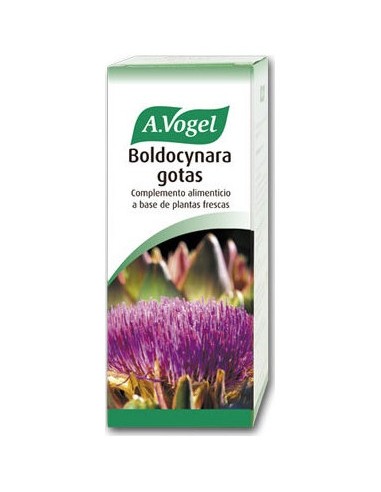 Boldocynara 100 Ml Bioforce