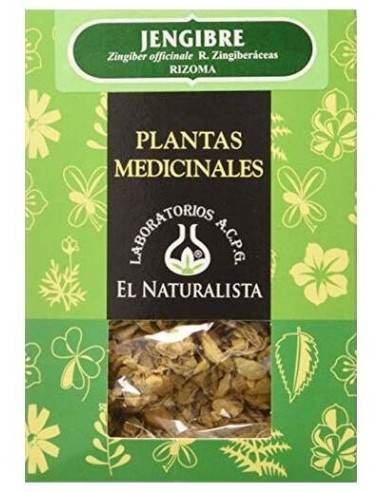 El Naturalista Jengibre 80 Gr Planta