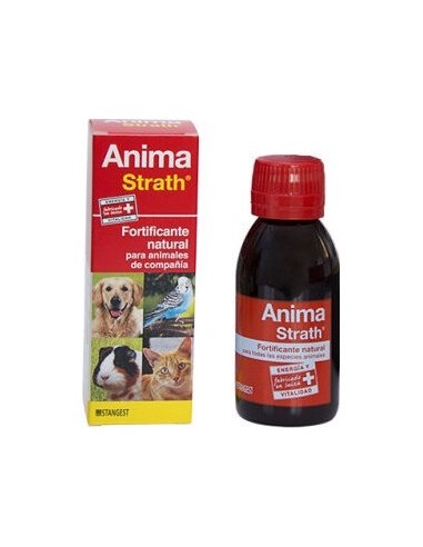 Anima Strath 100 Ml Stangest