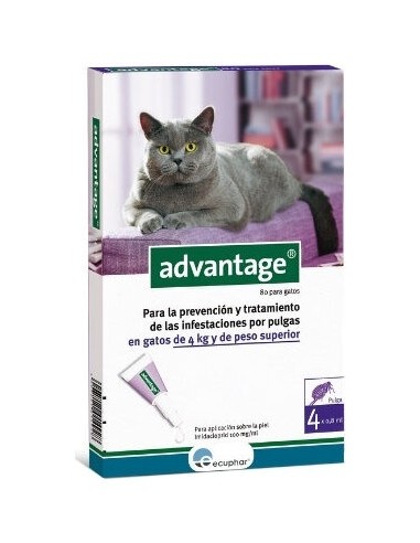 Advantage 80 Gato +4Kg 4Pip Ecuphar